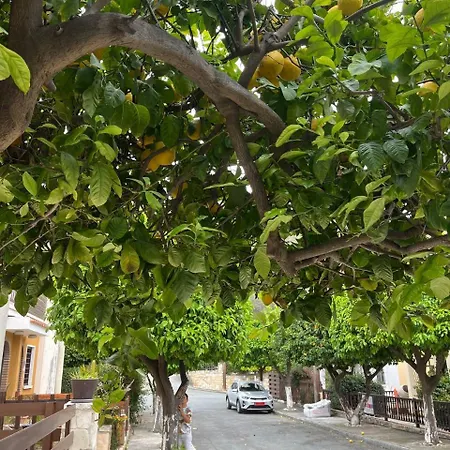 The Citrus Valley Писсури